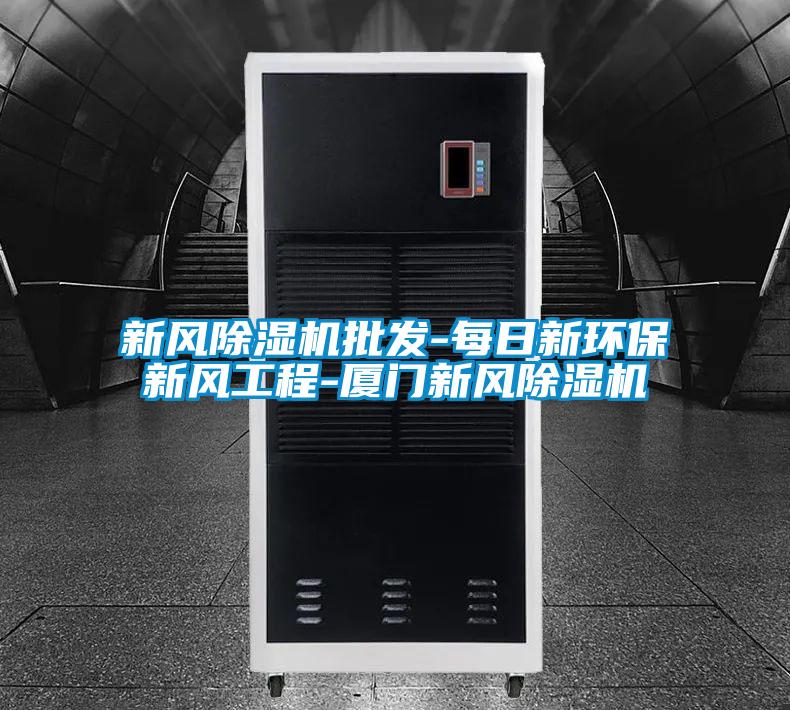 新風(fēng)除濕機批發(fā)-每日新環(huán)保新風(fēng)工程-廈門新風(fēng)除濕機
