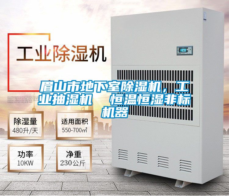眉山市地下室除濕機，工業抽濕機  恒溫恒濕非標機器