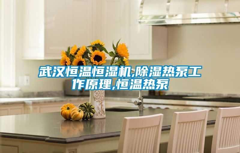 武漢恒溫恒濕機,除濕熱泵工作原理,恒溫?zé)岜?/></p>
						    <p style=