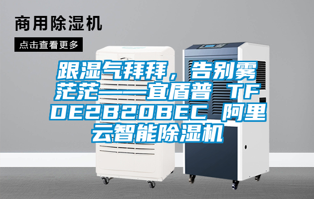 跟濕氣拜拜，告別霧茫茫——宜盾普 TFDE2B20BEC 阿里云智能除濕機(jī)
