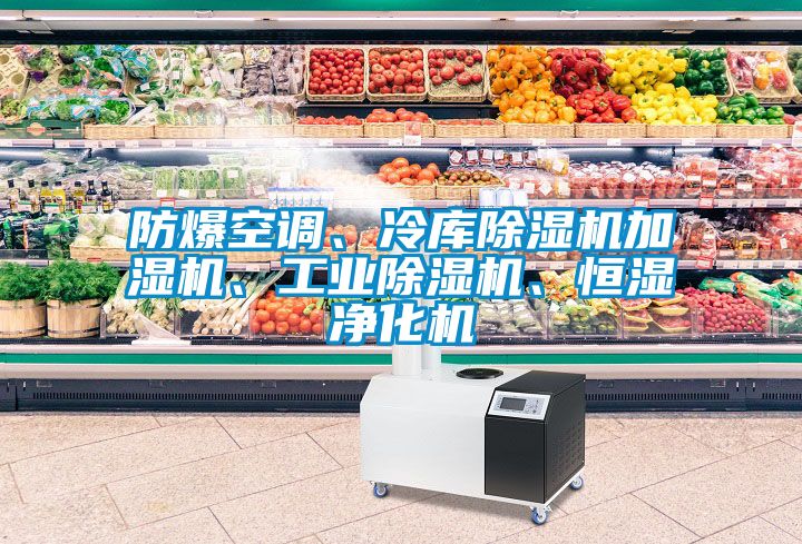 防爆空調(diào)、冷庫除濕機加濕機、工業(yè)除濕機、恒濕凈化機