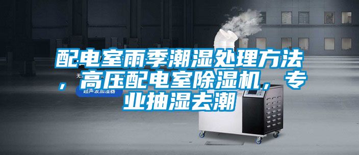 配電室雨季潮濕處理方法，高壓配電室除濕機(jī)，專業(yè)抽濕去潮