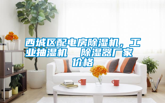 西城區配電房除濕機，工業抽濕機  除濕器廠家 價格