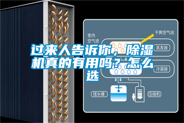 過來人告訴你,除濕機真的有用嗎?怎么選