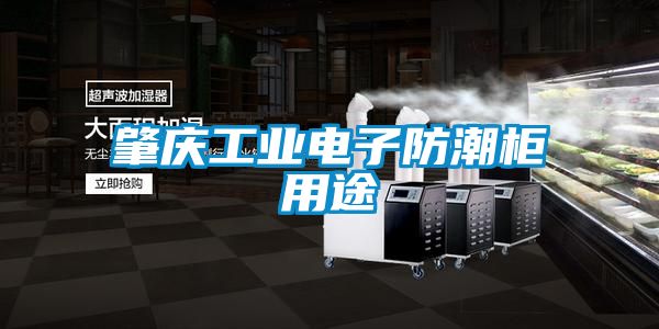 肇慶工業電子防潮柜用途